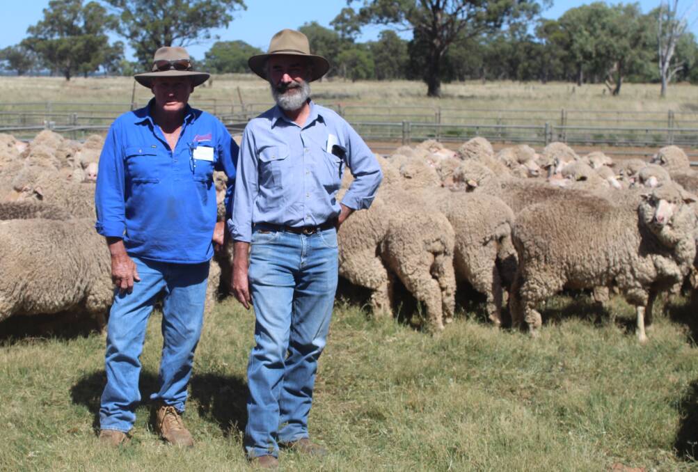 The 30th annual The Ted Little Memorial Merino Ewe Competition was won by Gowing Partners. The winning flock is pictured here with classer Russell Jones and Cranley Gowing. Picture by Denis Howard 
