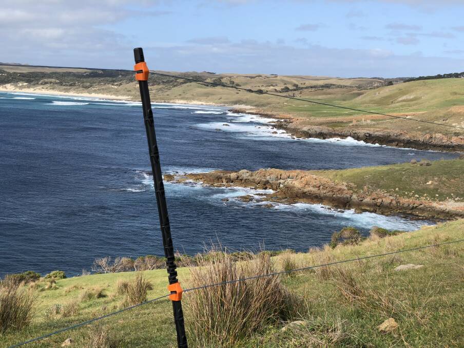 A Gallagher insulated line post, part of an electric fence used to protect the nesting grounds of a population of Little Penguins on Tasmanias King Island.