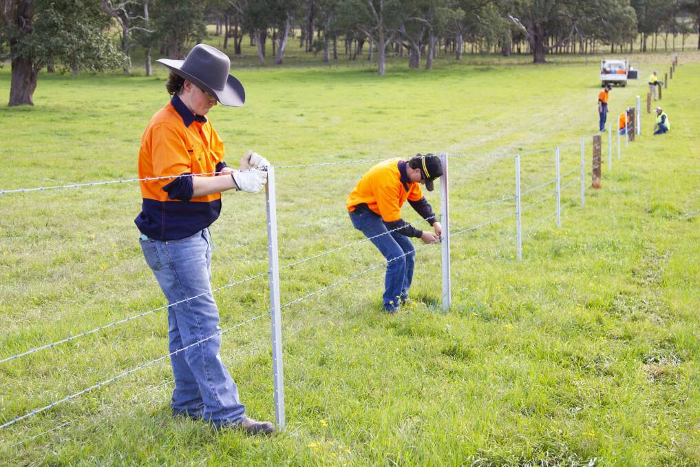 BACK AT IT: Some Tocal College students get back into the swing of things completing some fencing work.