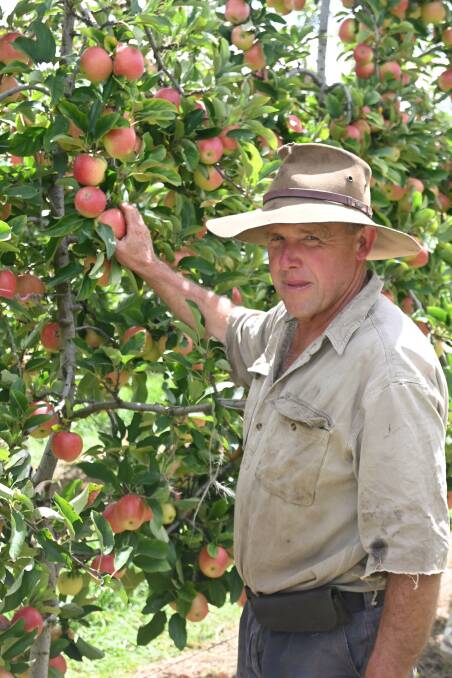 Ian Pearce believes growers are taking all the risk with very little reward. Picture by Denis Howard.
