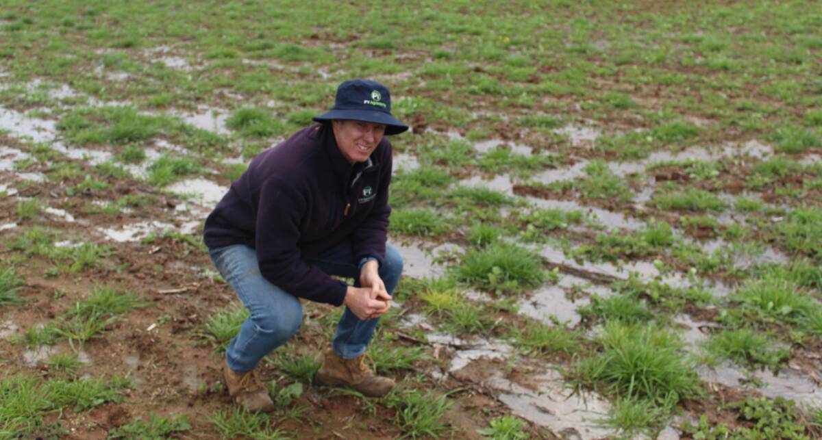 NO GO: Peter Yelland, principal at YellCo Ag, said this 365-hectare paddock was programmed for wheat this year but it is unlikely it will be sown due to being waterlogged. Photo: Denis Howard
