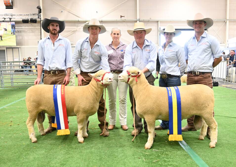 With the grand champion and reserve champion Poll Dorset rams are judge Ruth Klinger (centre) with the Tattykeel team of Jack Healey, James Gilmore, Graham Gilmore, Rachael Wheeler and Nathan Leach. Picture by Denis Howard 
