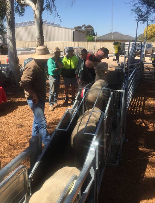 Wayne Coffey demonstrates mouthing through the Combi Clamp at a demonstration day held at Yenda Products in Leeton, NSW.