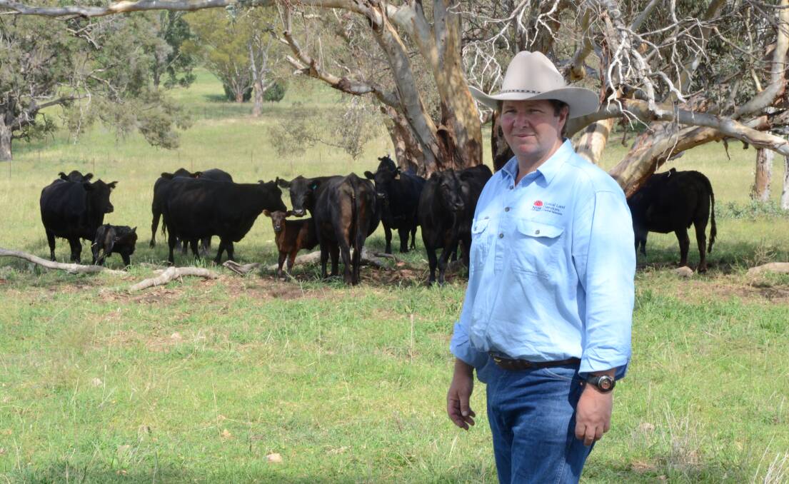 IMPORTANT: Brett Littler, Senior Land Services Officer - Livestock, Central Tablelands Local Land Services gave live cattle assessment demonstrations at the field day. 