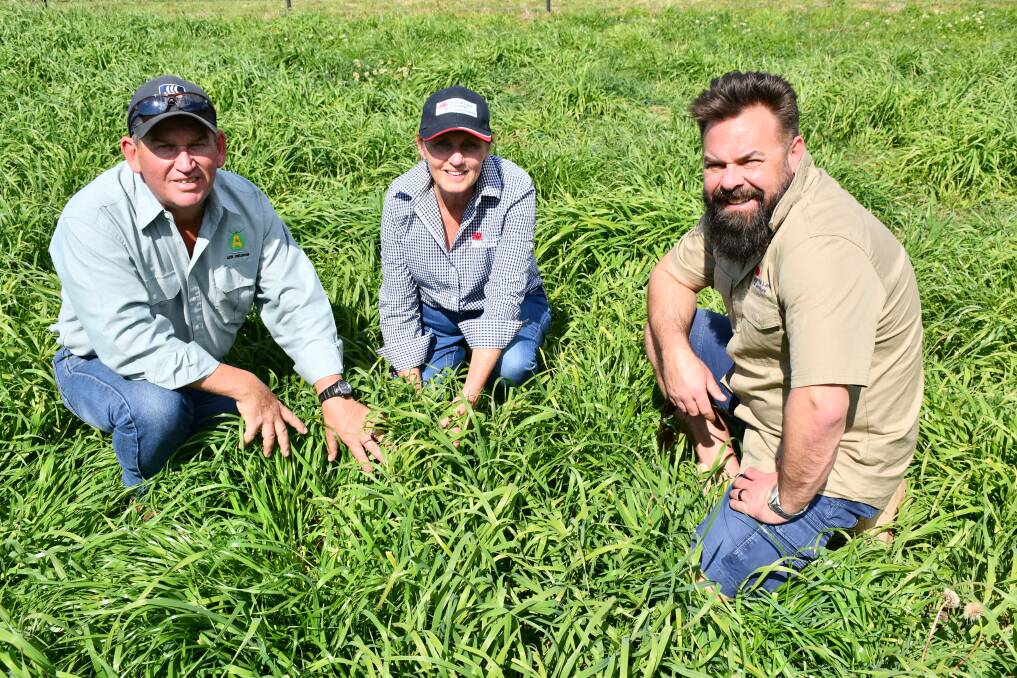 GROWING: Adam Little, Linda Hanlon and Peter Conasch check out the Healthy Soils, Productive Pastures project trial's progress.
