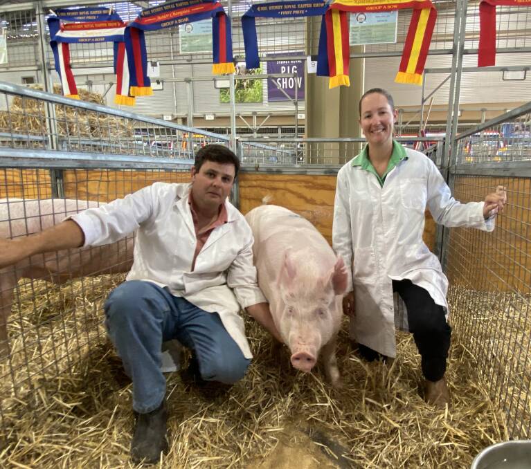 Wesley Temessl is celebrating 20 years of exhibiting at the Sydney Royal Show this year. He is pictured with his partner Kristen Barass and one of their Large White exhibits. Picture by Denis Howard