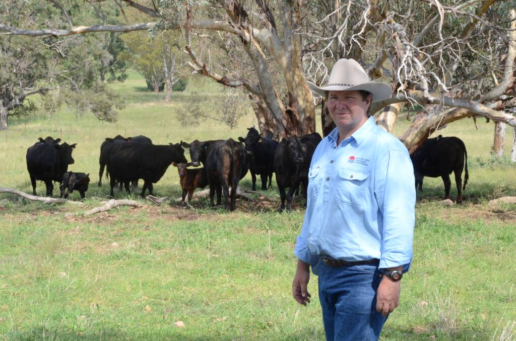 WELL FED: Brett Littler, senior lands services officer (livestock), says canola can be fed to both sheep and cattle, but should be gradually introduced.