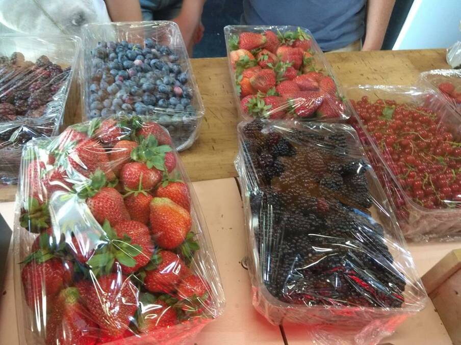 JAM PACKED: produce from Huntley Berry Farm was used to make more than 30,000 jars of jam last year.