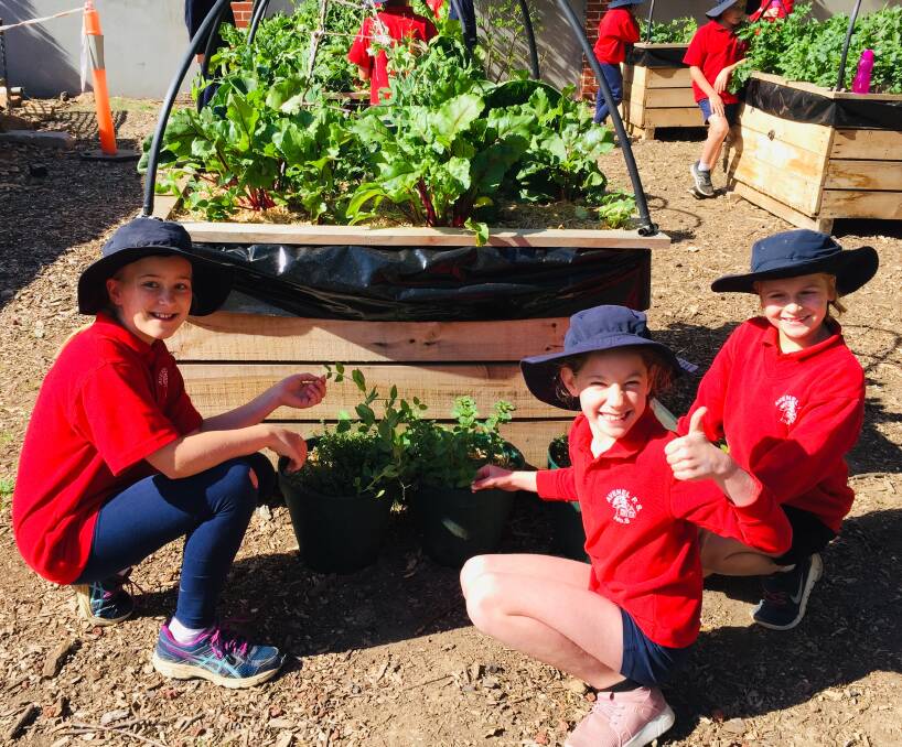 THUMBS UP: Avenel Primary School students approve of the community garden. Photo: Fiona Gowers.