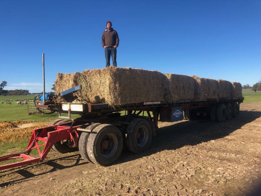 Manager of sheep, beef and cropping enterprise Llanthro, Oliver Close standing on his 10 bale Sinch bale feeder trailer. Mr Close said the feeder gave them the confidence to purchase replacement weaners early.
