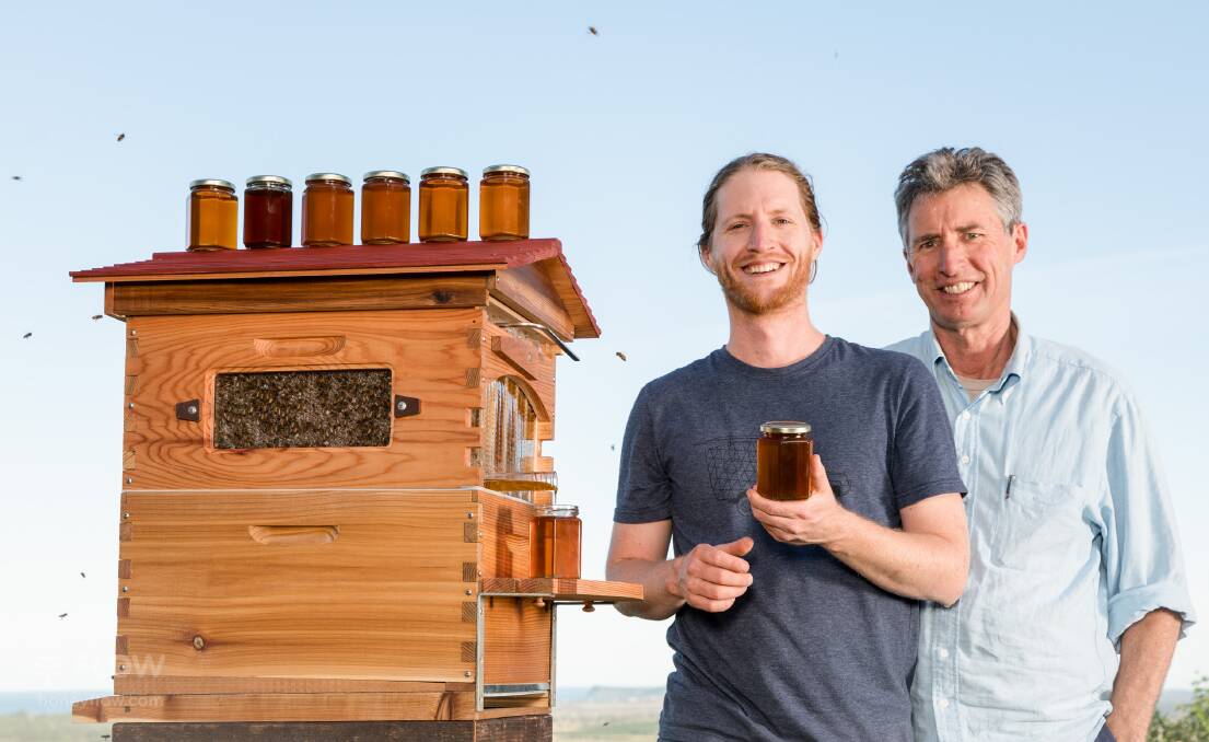 WINNERS: Cedar and Stu Anderson with a western red cedar Flow Hive in the backyard of the Bee Inventive office near Byron Bay.