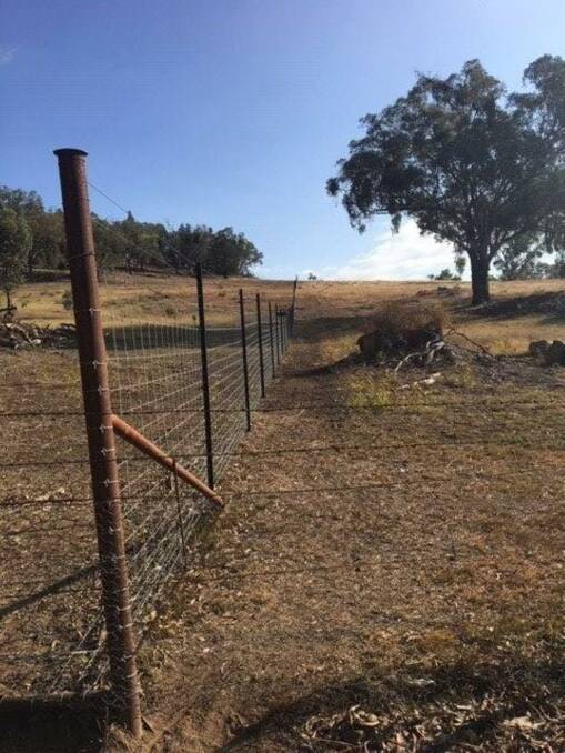 TEAM EFFORT: The 52km exclusion fencing project is already showing benefits to pasture regeneration. The project is expected to be completed in September this year.