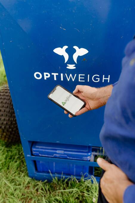 Robert Mackenzie uses the Aglive platform with the Optiweigh to monitor cattle weights.