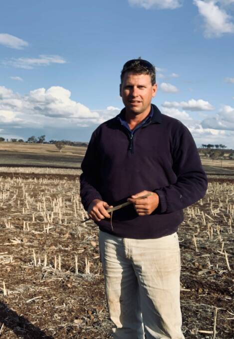 Justin Ramsay, Moree, enjoyed a bumper crop after trying Heritage Seeds' HGS-114 sorghum. 