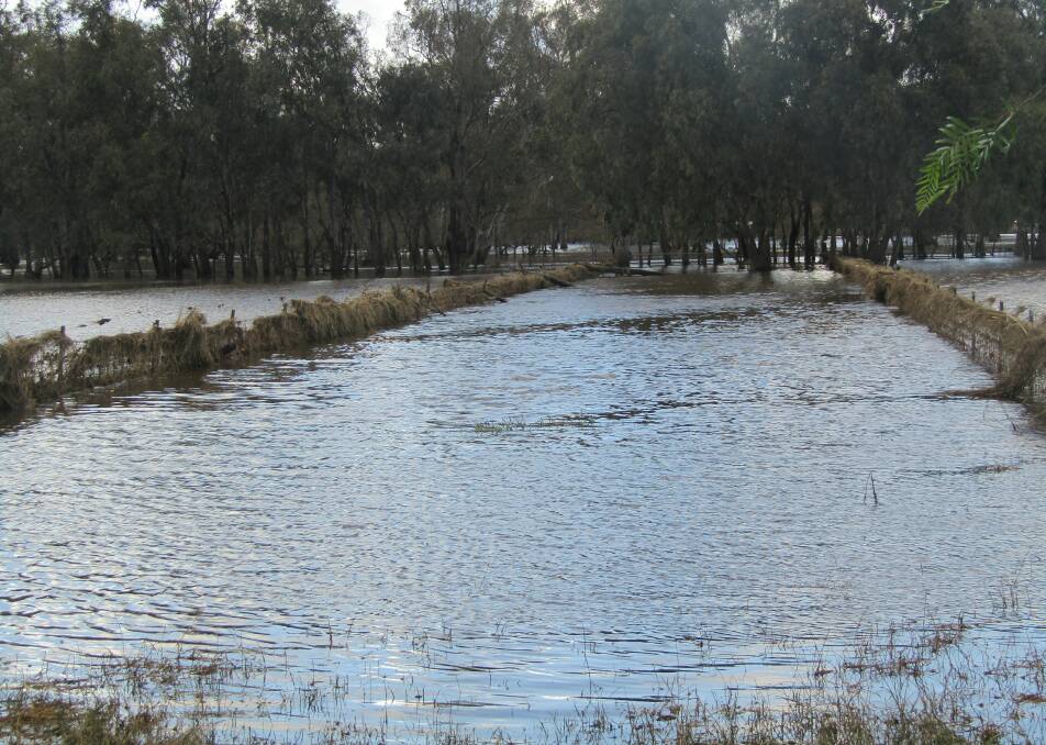 Only a very small portion of Paul and Jan Ormsby's pastures were not completely inundated with water like these.