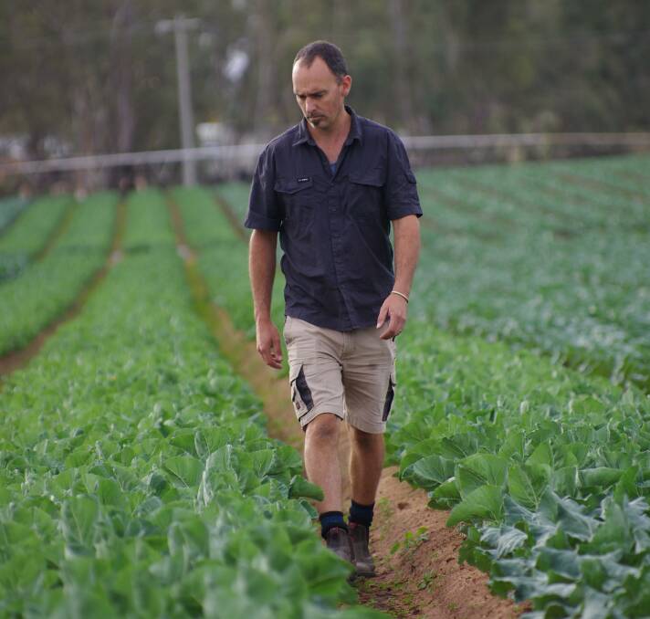 GROWING: Adam Farley's Murray Valley Organics is going from strength-to-strength. Photo: AUSVEG.