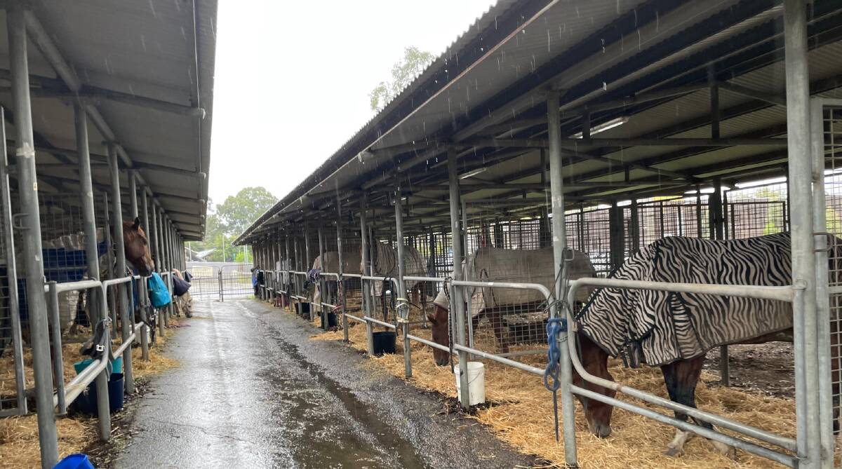 Agriculture and Animal Services Functional Area is providing emergency fodder, animal assessment and veterinary assistance to flood-affected landholders.