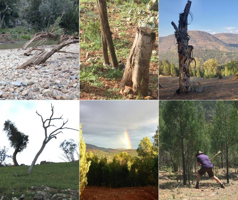 VARIETY: From top left - the water went that way, the Wood family, a sculpture of sorts, Ross Pride cutting the novelty Christmas tree, the Christmas trees that werent, and doing it tough on a ridgeline. 