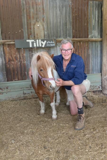 FAMILY-FRIENDLY: Phillip Stivens with one of the stars of the petting zoo, Tilly the miniature horse.
