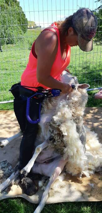 USEFUL: Samantha Rust shearing lifestyle blocks in New Zealand with the Handypiece.