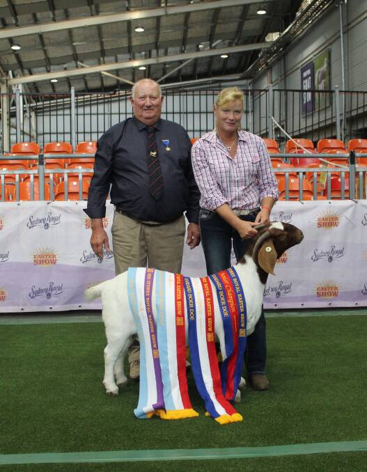 DOMINATION: Micathel Boer Goats has stolen the show in this year's Boer goat competition. Best In Show was Micathel The Grand Daughter with judge Paul Ormsby and stud owner Marie Barnes. Photo: Denis Howard 
