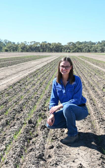 Central West Farming Systems trial agronomist Chiara Stommell is conducting a nitrogen banking trial at Condobolin. Picture by Denis Howard