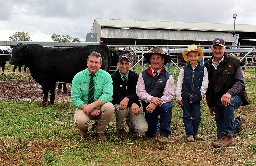 Nutrien Ag Solutions Wilson Russ' Tim Woodham and Ashley McGilchrist, Waitara Angus' Stephen and Toby Chase, and Merridale Angus' Peter Collins with top priced lot Waitara GK Safekeeping S56. Photo: Denis Howard