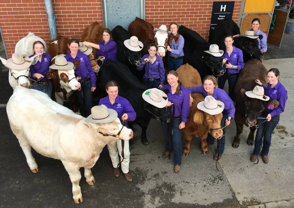 Mia Withers (back row, far right) and the Frensham Show Cattle Team at the 2017 Sydney Royal Show.