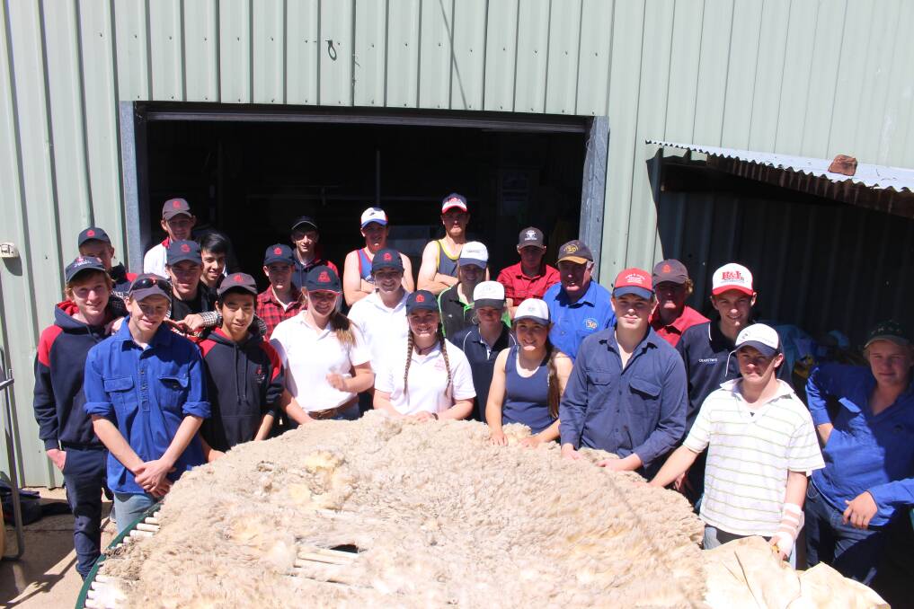 National Ag Day was celebrated with The Scots School agriculture students and All Saints College agriculture students learning to class wool and shear.