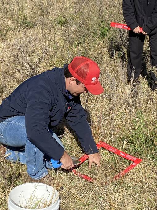 HELPFUL: Rohan Leach uses the LLS pasture square to assess ground cover.