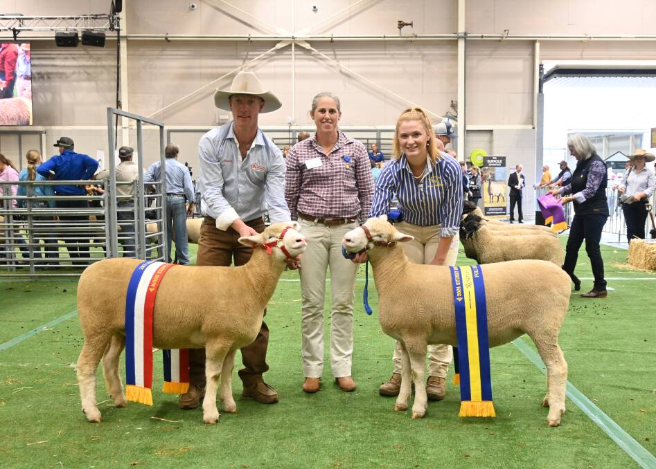 Grand champion Poll Dorset ewe with James Gilmore, Tattykeel, judge Ruth Klinger, and Joanna Balcombe, Cranbrook. picture by Denis Howard 