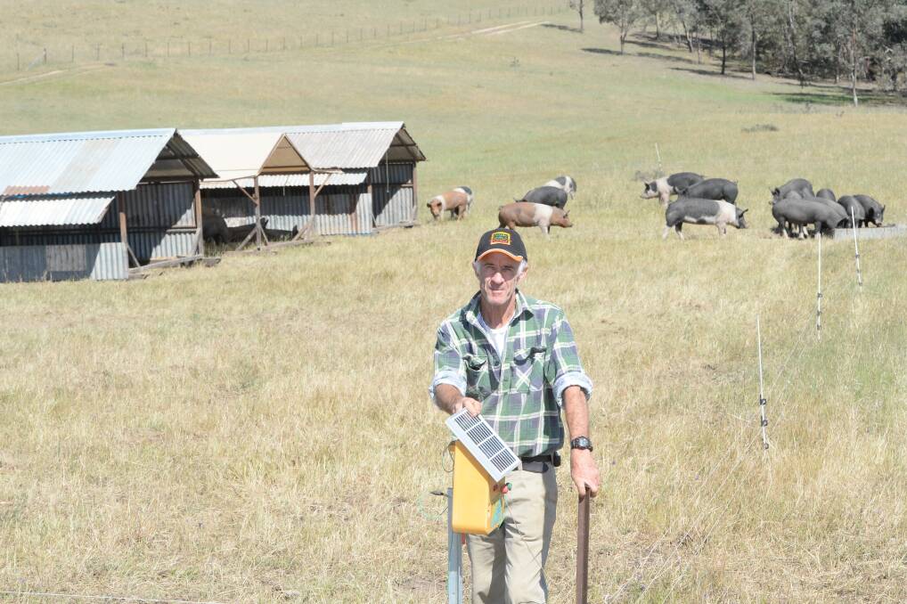 HOLISTIC: Sam Johnson, Windermere, takes a regenerative approach to grazing strategies which has delivered some good results. Photo: Rachael Webb.