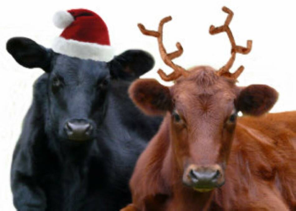 PREPARE: With Christmas around the corner, producers are encouraged to make sure they are prepared.