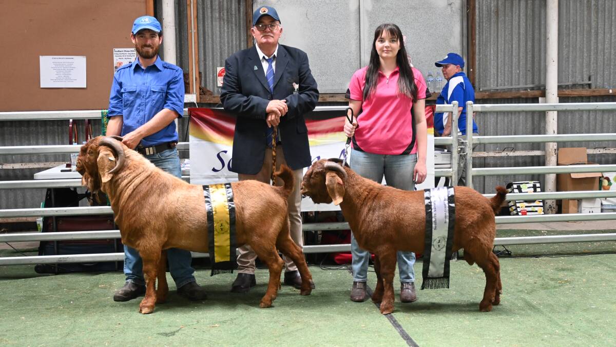 Tom Youlden, Youlden Valley, Tomingley, grand champion solid buck YV Excalibur, judge Kobus Lotter, Jacinda Mitchell, and reserve YV Zoltan.