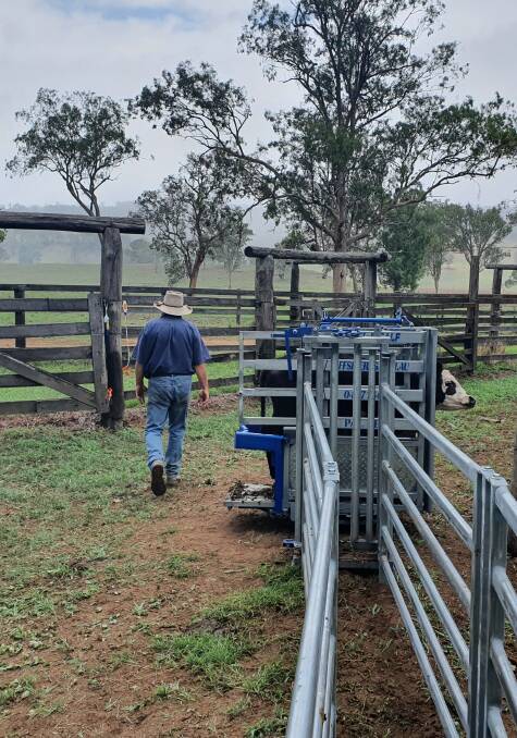 Offsider Ag cattle handling equipment is easy to use and safer for stock and the operator.