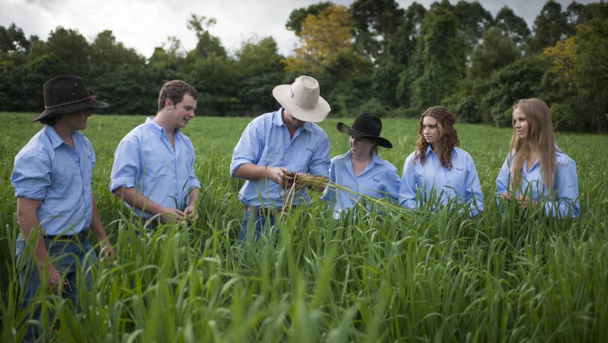 Tocal College students receiving instruction in a wheat field. 