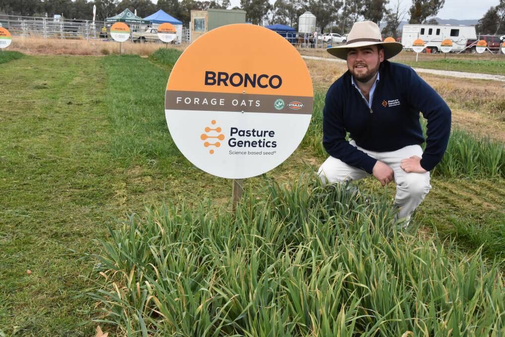 Pasture Genetics North West and Central NSW territory manager Jack Edwards with a new long-season variety of forage oats, Bronco, to be released next year.