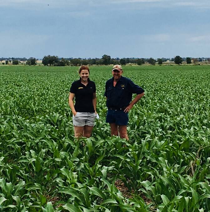 STRONG: Bec Cope, Heritage Seeds' NW NSW territory manager and Steve Winter, farm overseer, Melburra, Edgeroi, check out the crop.