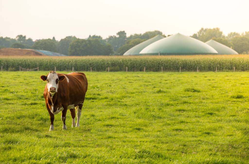 ENERGISED: On-farm bioenergy plants are just one of the ways agriculture can contribute to achieving Nett Zero CO2 emissions by 2050. Photo: Fabian Faber/Shutterstock