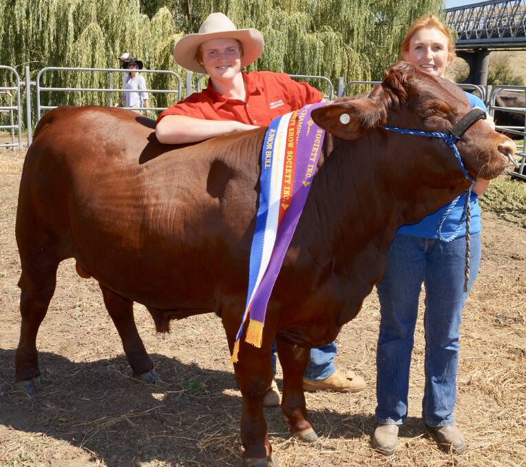 Champion bull of the 2018 show was Nungar Plain Nudge, pictured with Liam and Jenny Crowe of Nungar Plain Santa Gertrudis stud, Cooma.