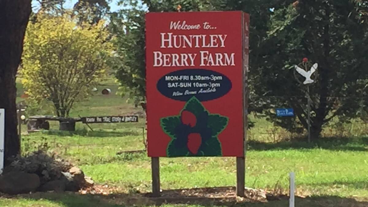POPULAR: Huntley Berry Farm attracted more than 20,000 visitors last year.