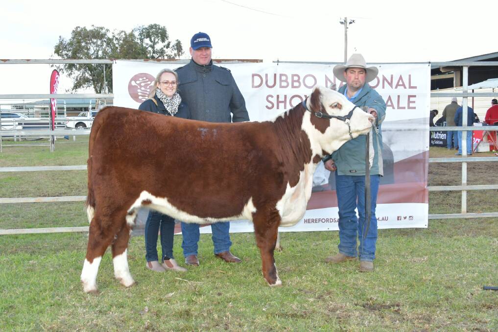GOOD BUY: Jessica and Andrew Quirk, with Pat Halloran, after the purchase of Llandillo Aster, top priced female at the National Hereford Show and Sale. 