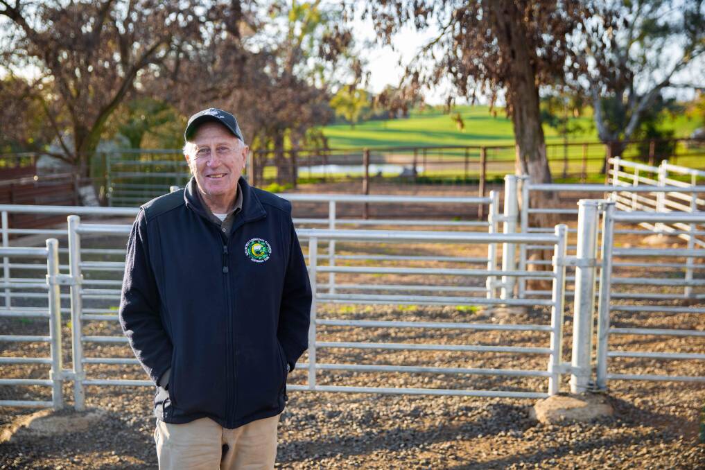 John Manchester believes Clipex has taken a lot of hard work out of sheep handling. 