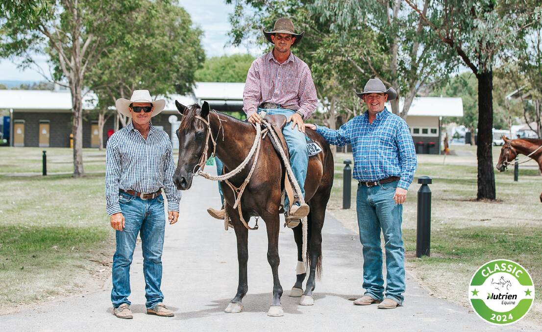 Durkins Tempest - HSH - offered by Will Durkin, Julia Creek, Qld - topped day two of the sale when sold for $160,000. The filly is sired by Hazelwood Conman and out of Toomba Tempo and was purchased by the Trustee for the Moy Family. Picture by Penwood Creations and supplied by Nutrien Equine