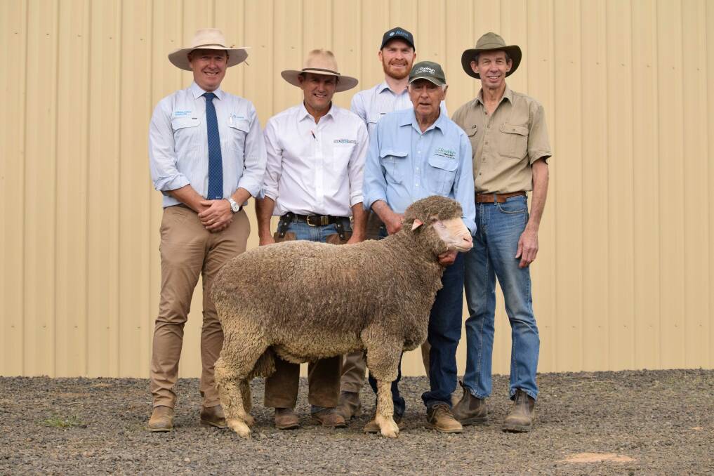 With one of the top-priced rams, purchased by HB and VJ Knight and Sons for $3000 are, Geoff Rice, AWN Auctioneer, Rob Anderson, Kevin Miller Whitty Lennon and Co Forbes, Andrew Holgate, AWN, Ralph Diprose, Rocklyn Merino stud, and Trevor Knight, HB and VJ Knight and Sons. Picture supplied