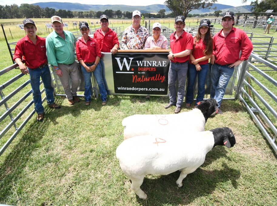 Pete Pagett, Winrae, John Settree, Nutrien, Mel and Nick Pagett, Winrae, Justin and Lorroi Kirkby, Amarula Dorpers, Gravesend, Billy, Grace and Jack Pagett, Winrae, with Amarula's two purchases from the sale including the top-priced ram.