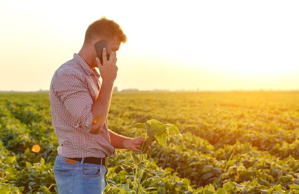 Investment in rural telecommunications infrastructure is needed, Joy Beames writes. Picture via Shutterstock