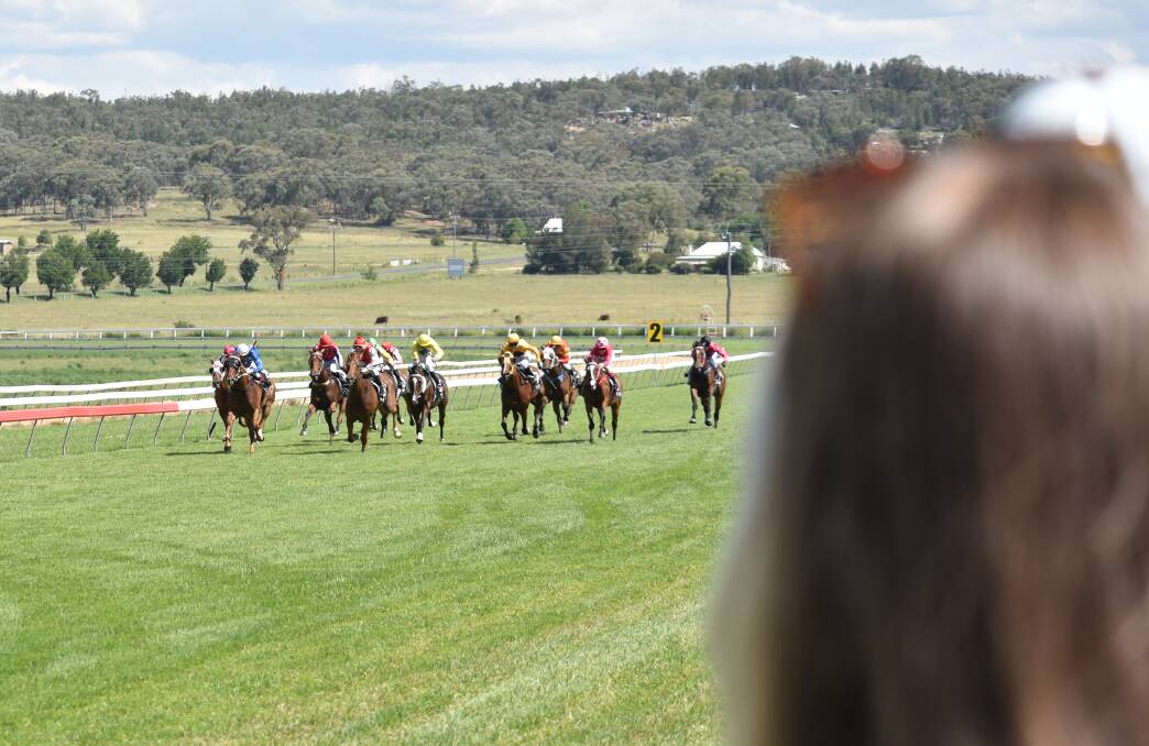 The Inverell Cup will be run on New Year's Day. Photo: File