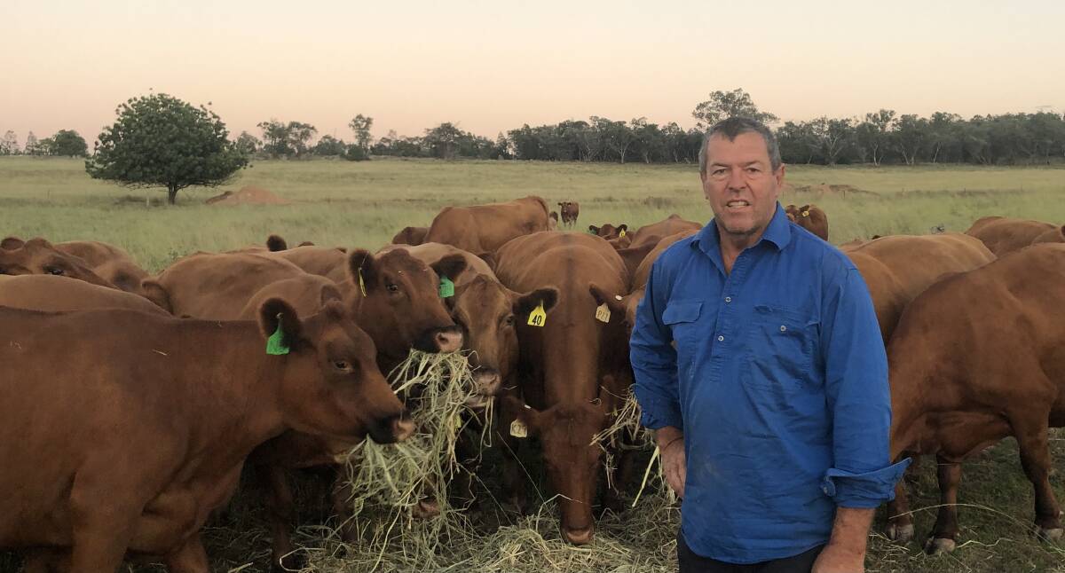 Red Angus society president David Hobbs, Molong. Picture supplied