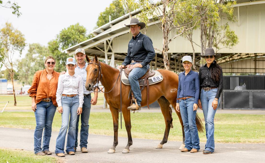 Presented by Rob Leach Equine, Hicacon is sired by Hazelwood Conman and out of the imported mare, Hicapep. Breeza's Emerald Park Performance Horses offered the two-year-old who was sold for $110,000 to Park Avenue Livestock, Tamworth. Picture by Penwood Creations and supplied by Nutrien Equine